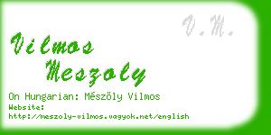 vilmos meszoly business card